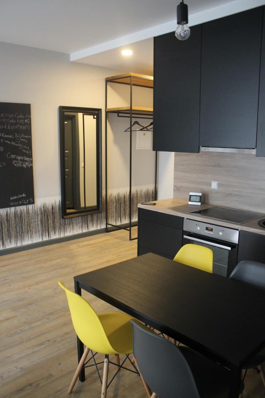 Smartflat & New Apartment City Center คอนัส ภายนอก รูปภาพ